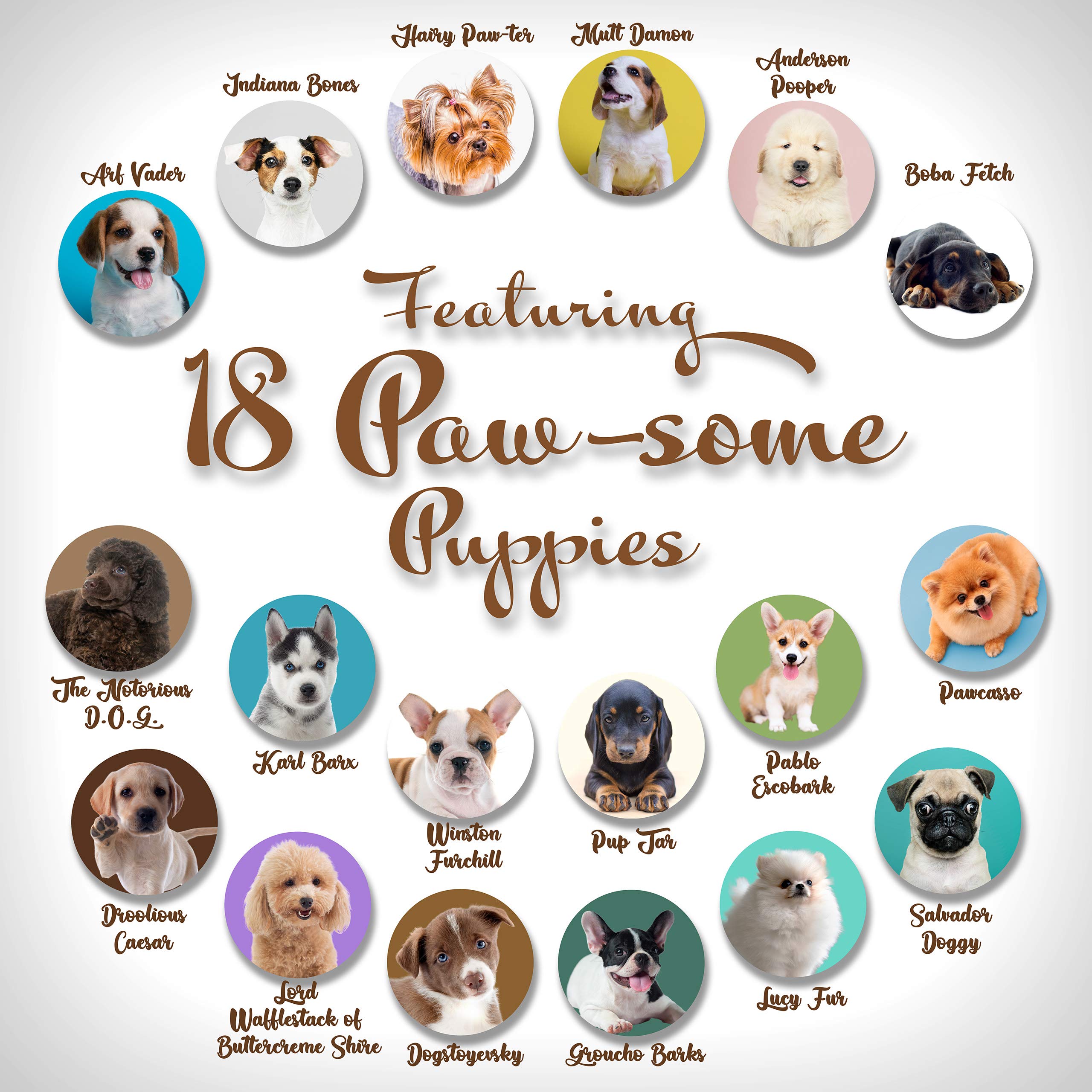 500 Fun Stickers for Kids - Puppies, Kittens, Emoji, Smileys, Trucks, Dinosaurs & More | 1.5 Inch Circle Motivational Reward Stickers | Made in USA | Perfect for School, Scrapbooking & Reward Charts