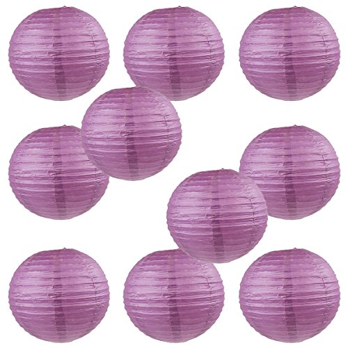 Purple Plum