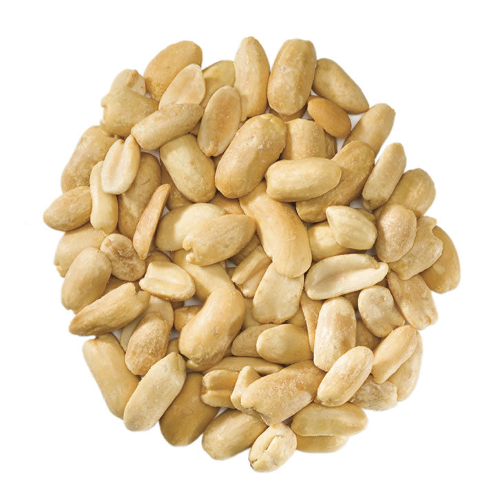 Premium Wild Bird Seed with Shelled Peanuts - 8 lb Bag for Backyard Bird Feeding & Wildlife Attraction | Nutritious Treat for Cardinals, Blue Jays & Woodpeckers