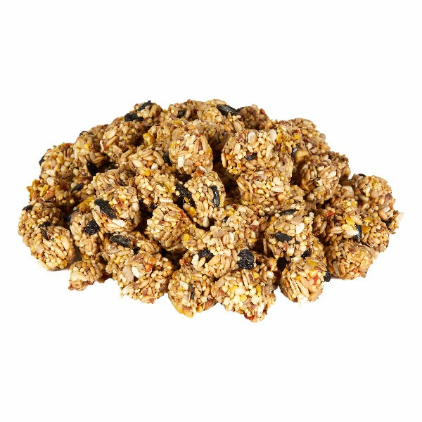 Kaytee Granola Bites with Superfoods - Blueberry & Flax Seed Healthy Treat for Small Pets - Perfect for Hamsters, Gerbils & Mice - Snack for Cages & Playtime