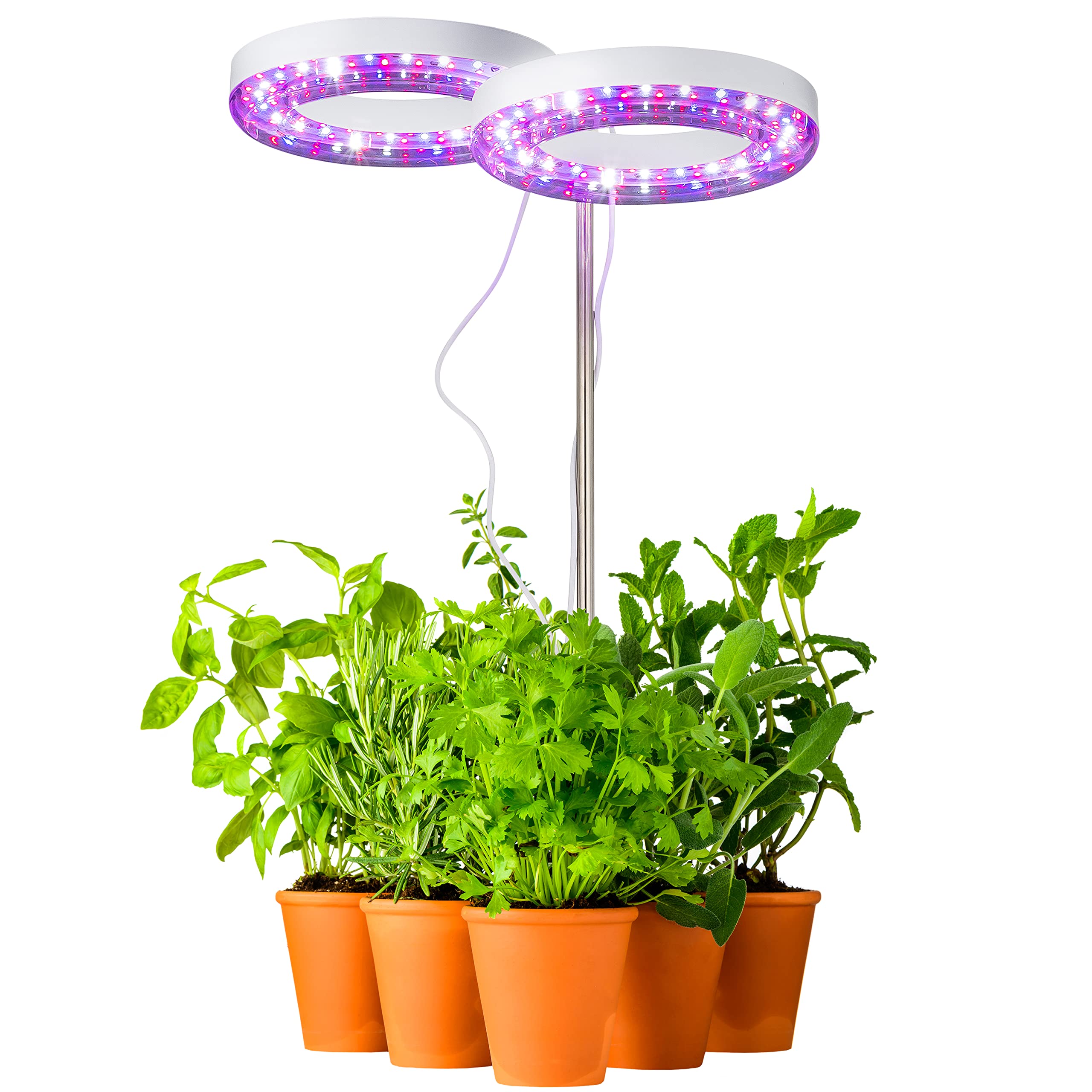 Halo Plant Light - 2 Adjustable LED Rings with Red Blue White Full Spectrum - Indoor Grow Lights for Plants, Seedlings, Succulents & Herbs - Perfect for Home Gardening, Hydroponics & Greenhouse Use