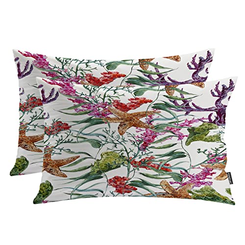 Ocean Marine Organism Starfish 2 Multi