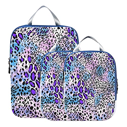 Leopard 01b