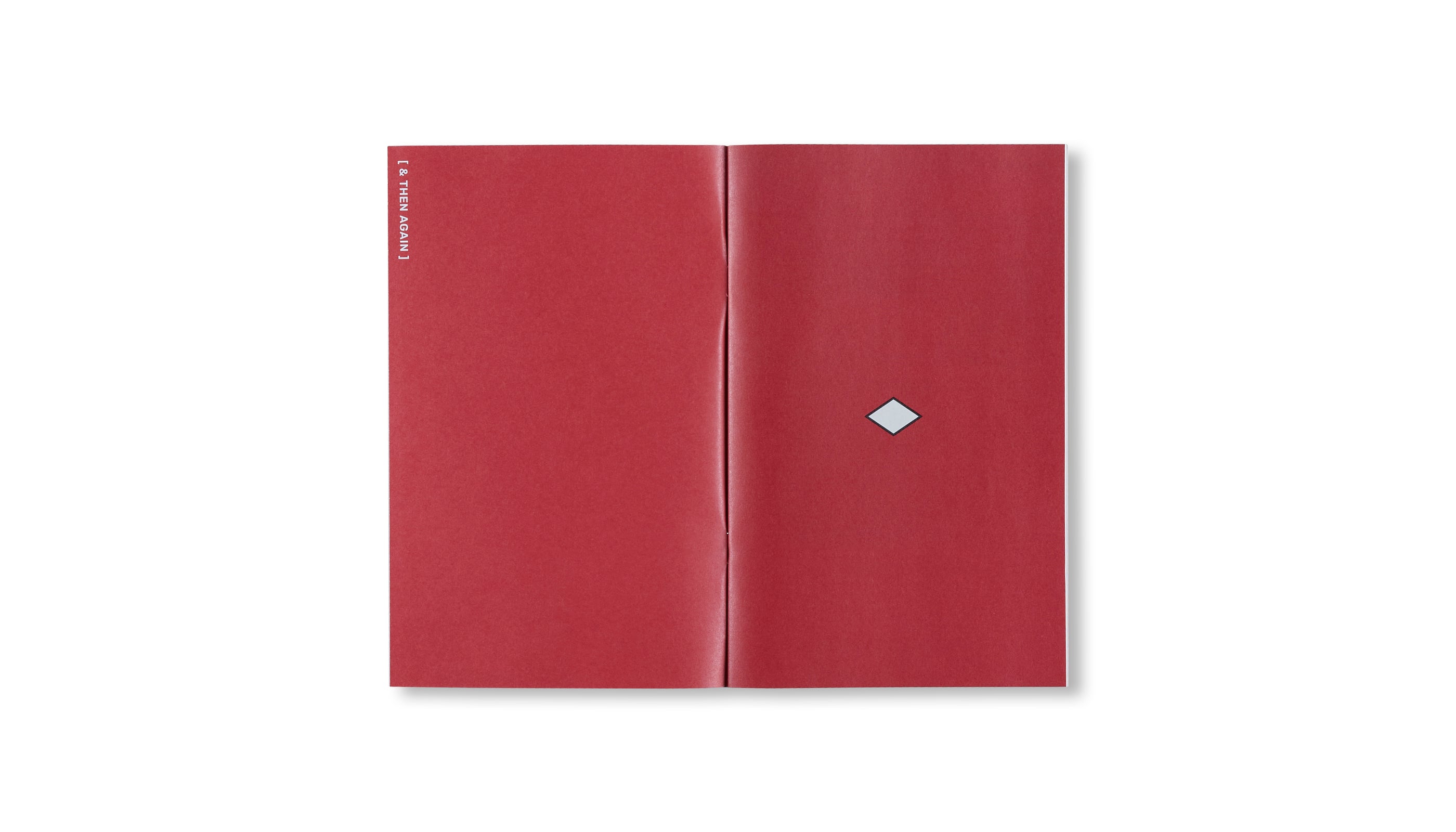 Art in Public Spaces & Media - Museum in Progress Book | Explore Contemporary Art Installations & Exhibitions for Urban & Digital Spaces