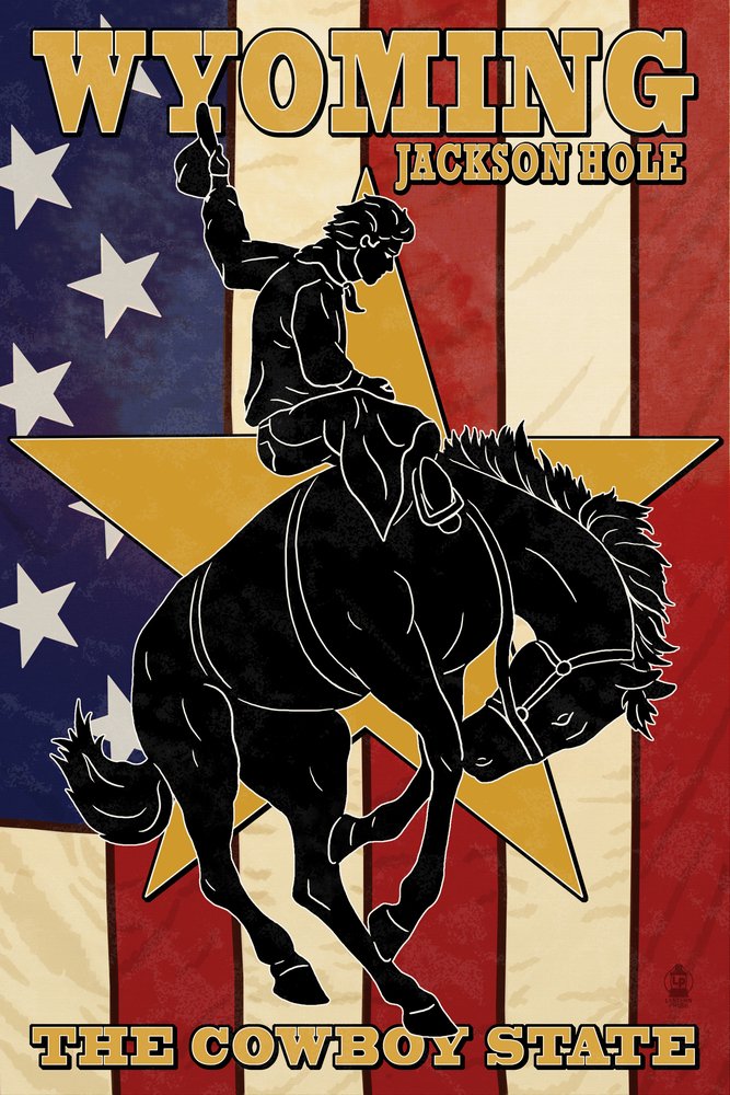 Jackson Hole Wyoming Bronco & Star 16x24 Gallery Quality Metal Wall Art - Aluminum Decor for Western Home & Cabin Decor