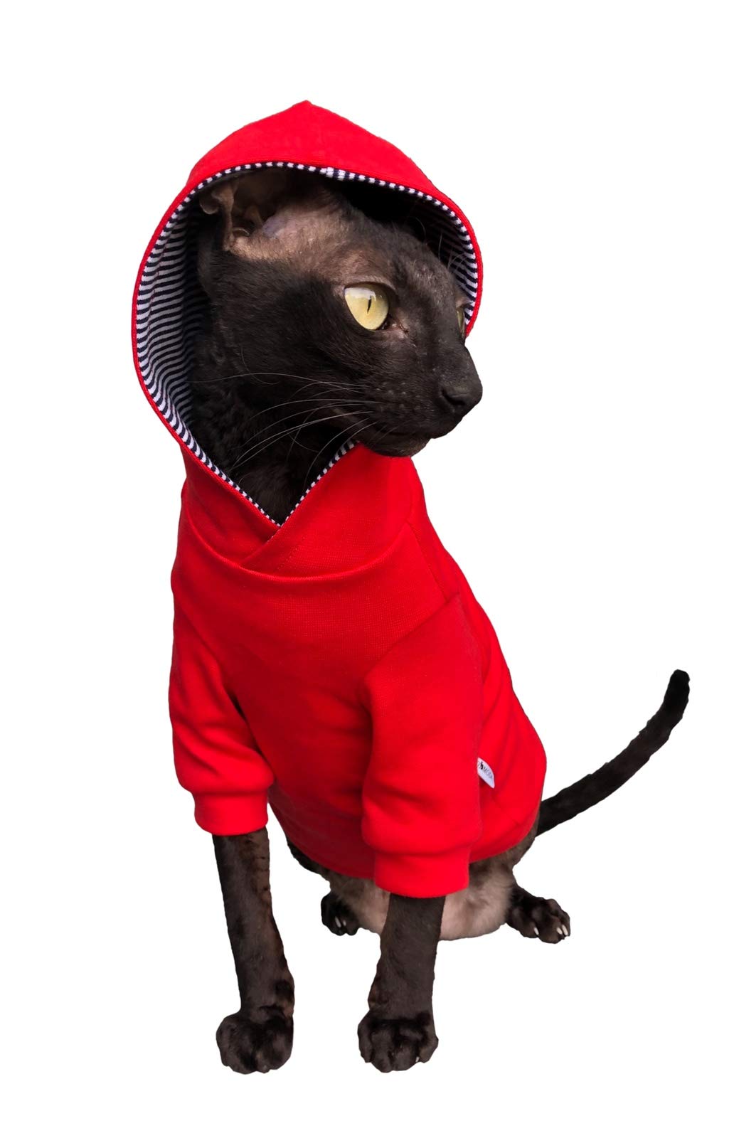 Red Hoodie for Sphynx Cats - Soft Hairless Cat Clothes (XS) - Perfect for Indoor Warmth & Stylish Pet Fashion