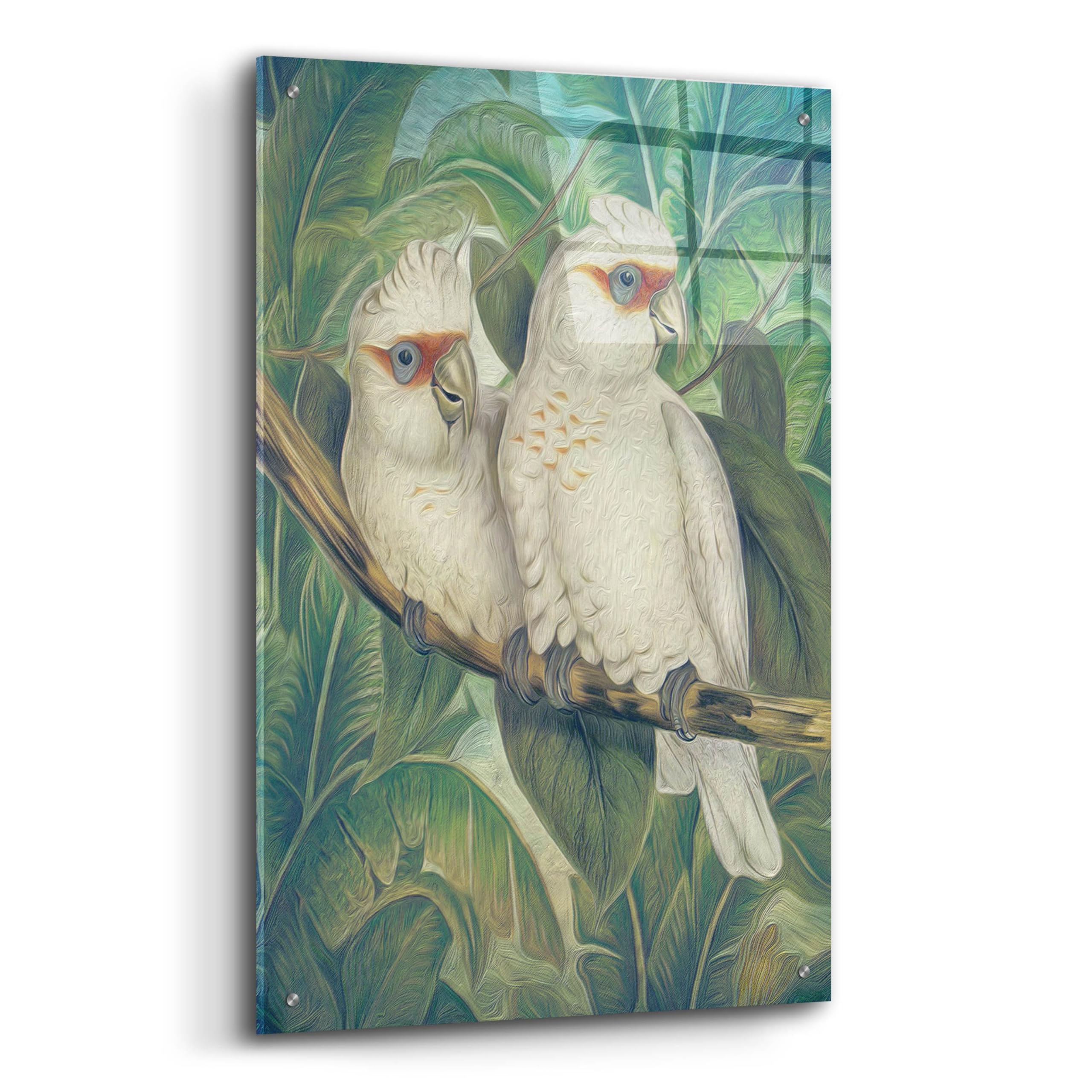 Steve Hunziker 'Painted Plumage Three' Acrylic Glass Wall Art - 24x36 Inches Modern Bird Painting for Living Room, Bedroom & Office Decor