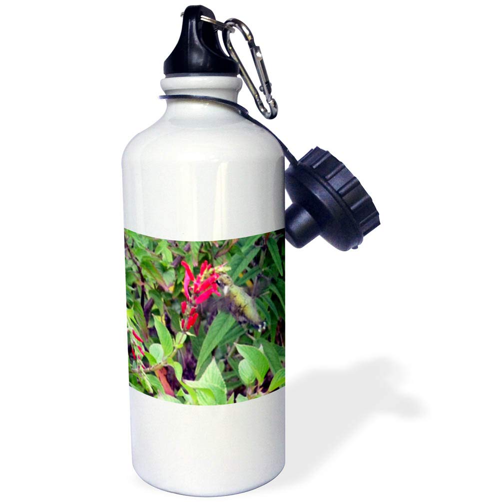 3D Rose Bee Balm and Hummingbird Insulated Sports Water Bottle - 21oz Leakproof BPA-Free Gym Bottle for Running, Hiking & Outdoor Activities | White