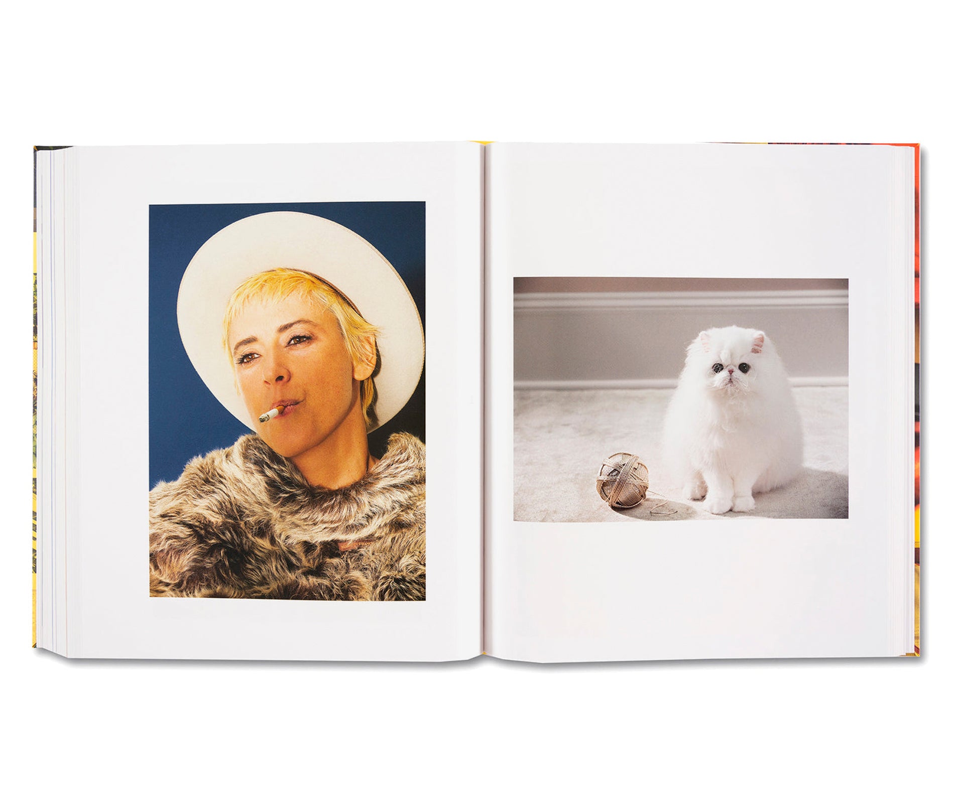 American Polychronic by Roe Ethridge - Contemporary Art Photography Book for Collectors & Enthusiasts - Perfect for Home Decor, Office Display & Art Inspiration