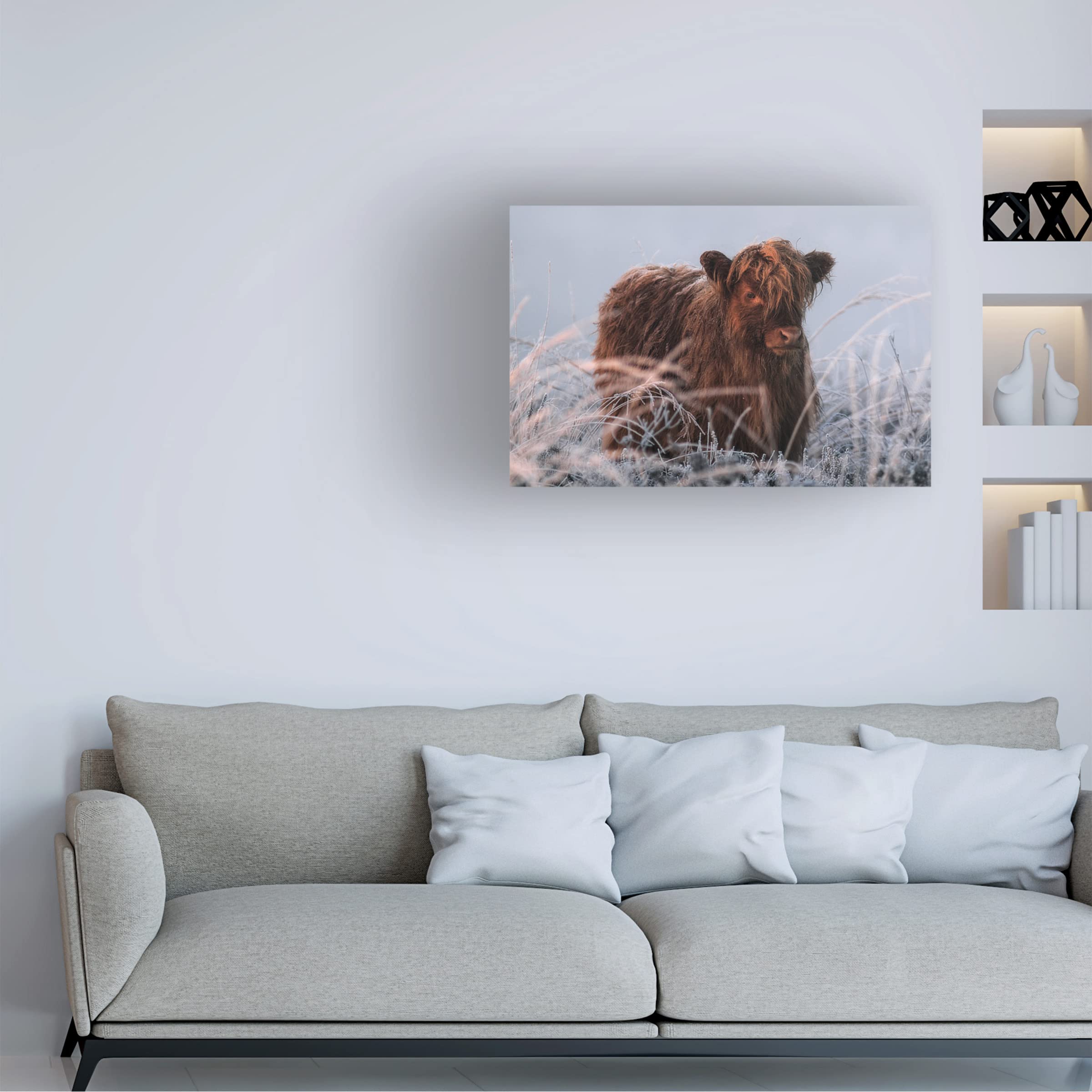 Trademark Fine Art 'Little Highlander' Canvas Art Print by Jaap Van Den - Highland Landscape Wall Decor for Living Room, Bedroom & Office