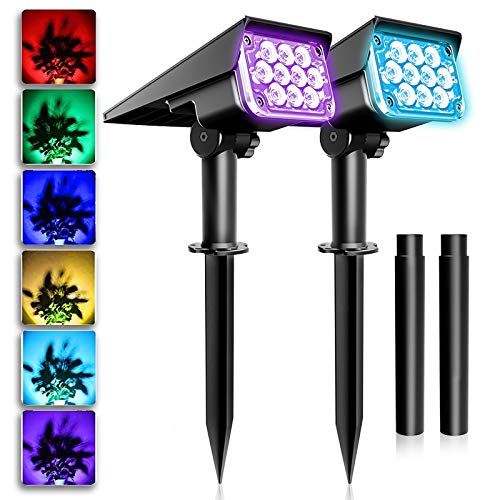Multicolor-2 Pack