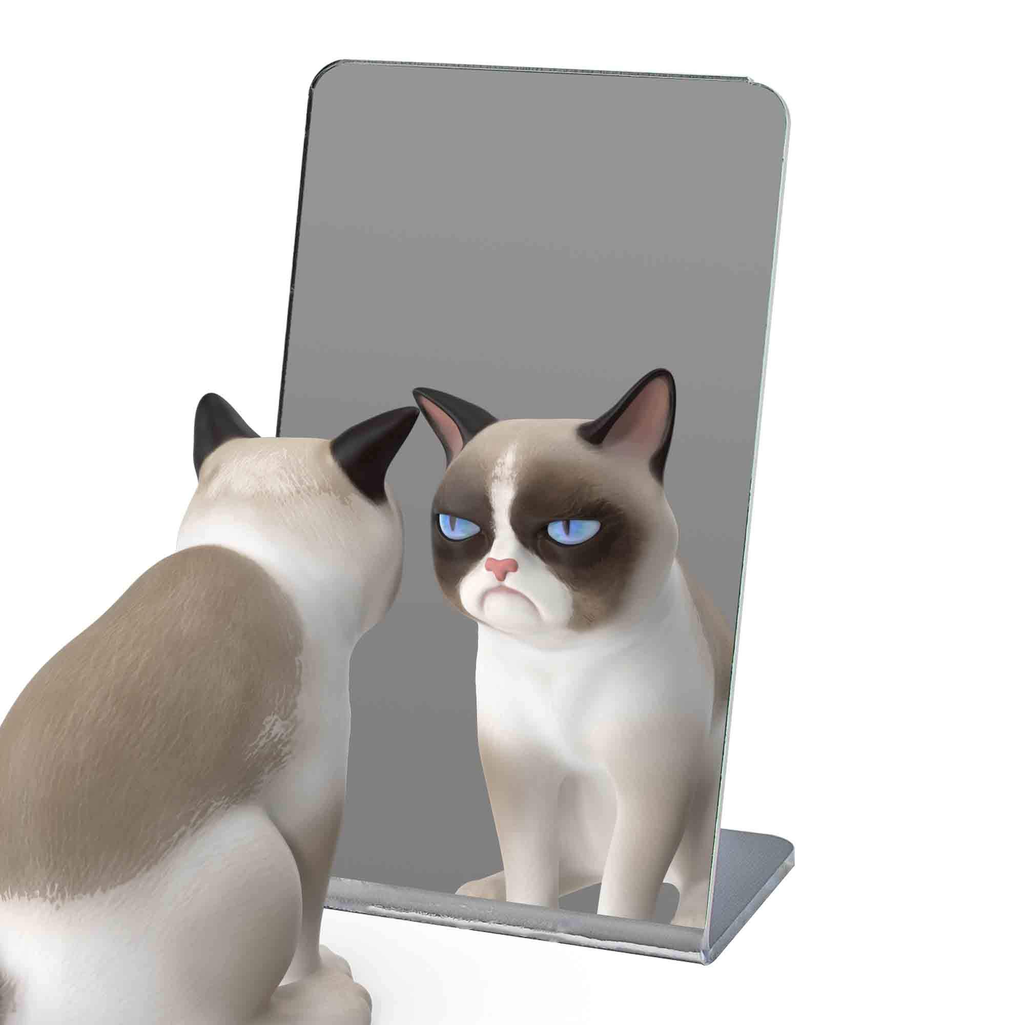 6 Pack Acrylic Mirror Stand - 3