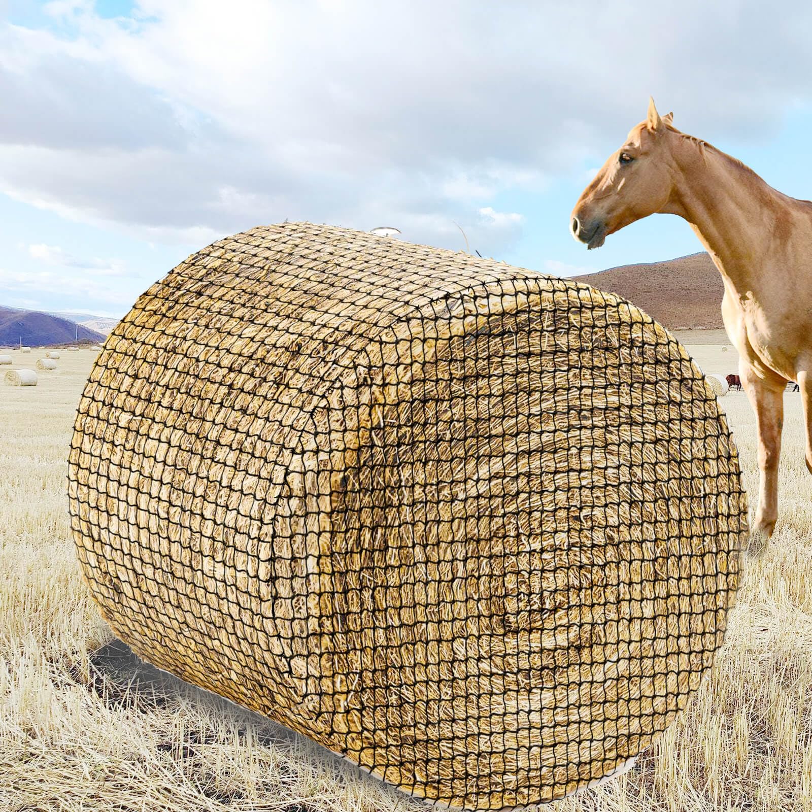 **Thick & Durable 5x5ft Round Bale Hay Net for Horses & Goats - 1.75 Inch Hole Black Nylon Slow Feed Net - Healthy Grazing Solution for Pasture, Stable & Travel Use**