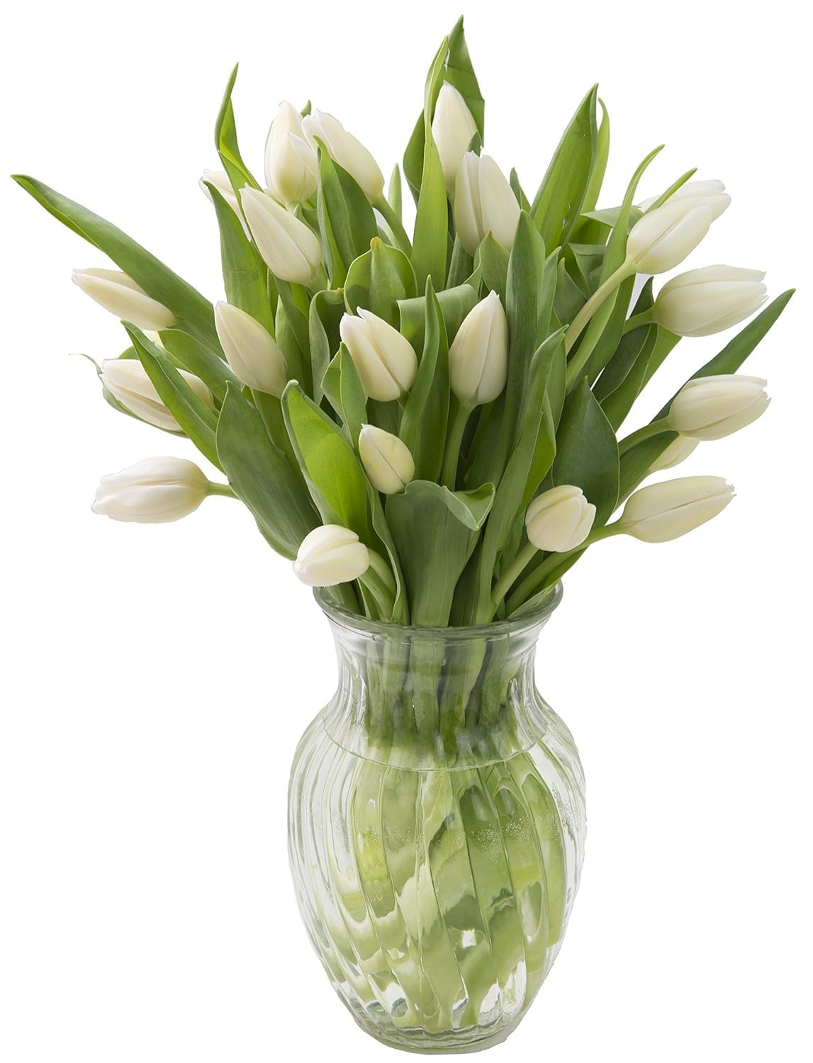 Premium White Tulip Bouquet with Glass Vase - 20 Fresh Cut Flowers for Birthday, Anniversary, Mother's Day - Next Day Delivery | Perfect for Home Decor, Wedding Centerpieces & Romantic Gifts