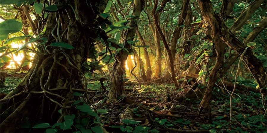 YongFoto 36x18 Inch Reptile Terrarium Background - Tropical Rainforest Jungle & Enchanted Forest Design for Bearded Dragon Tanks | Perfect for Reptile Habitats, Vivarium Decor, and Terrarium Backdrops