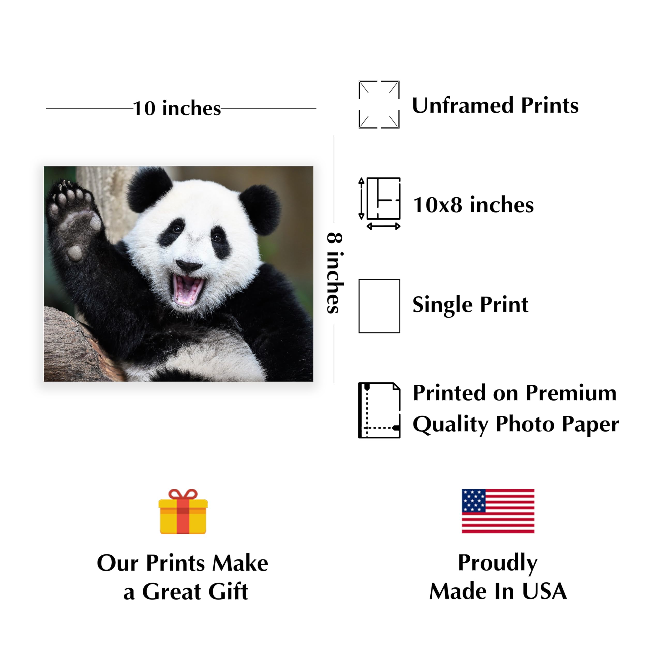 Happy Panda Waving Hi - Cute Animal Wall Art Print for Home Decor, Nursery & Kids Room | Funny Animal-Themed Photo Print | Perfect Gift for Animal Lovers | Unframed 10x8 Inches | Ideal for Living Rooms, Bedrooms & Playrooms