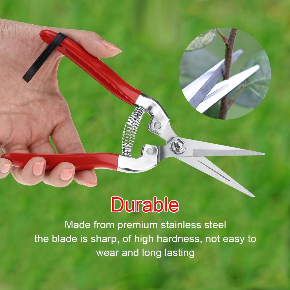 Sturdy Stainless Steel Pruning Shears for Gardening, Fruit Trees & Bonsai