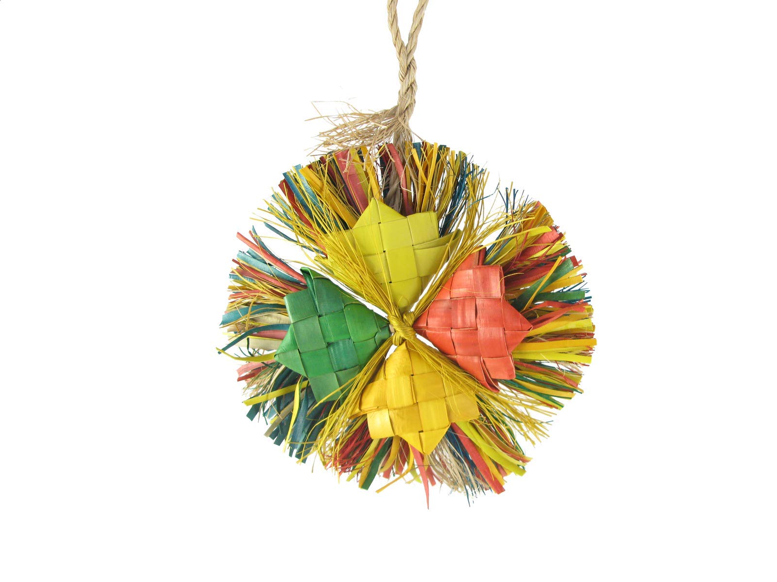 Planet Pleasures Happy Holly Interactive Dog Toy - Small Chew-Resistant Pet Toy for Small Dogs - Perfect for Indoor Play & Training Sessions
