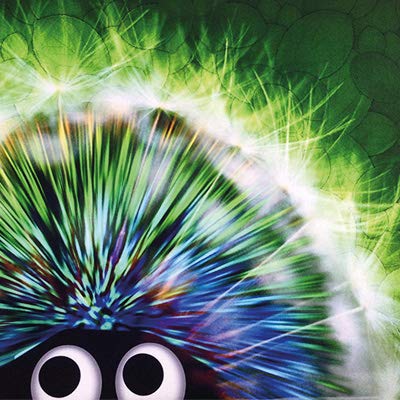 Green Hedgehog