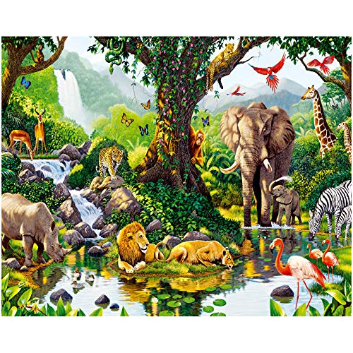 rain forest #2192