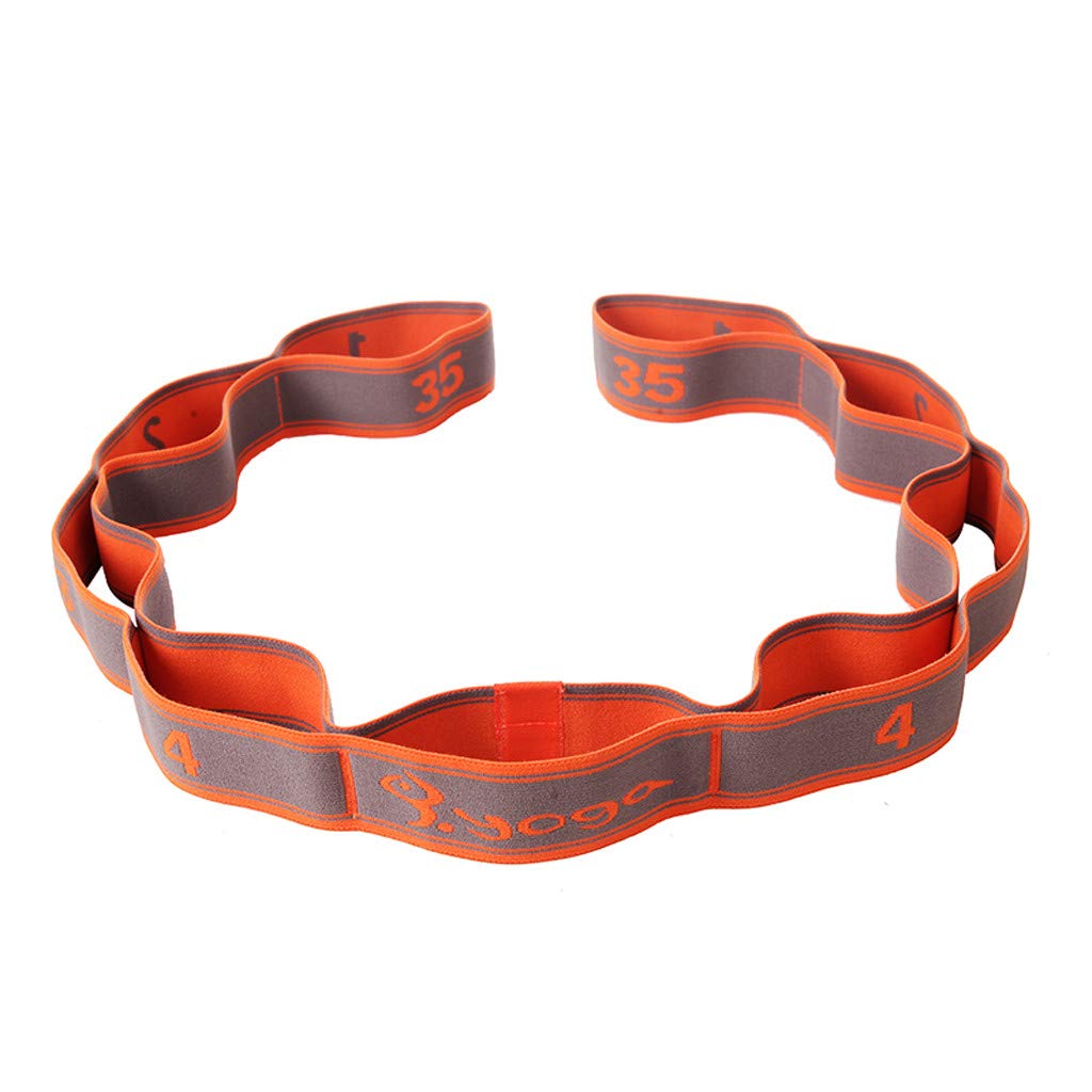 Premium Yoga Stretch Band - High Elasticity Resistance Bands for Yoga, Pilates, Dance & Home Workouts | Ideal for Women's Fitness Training, Flexibility Exercises & Muscle Stretching | Perfect for Home Gym, Studio Practice & Physical Therapy Recovery