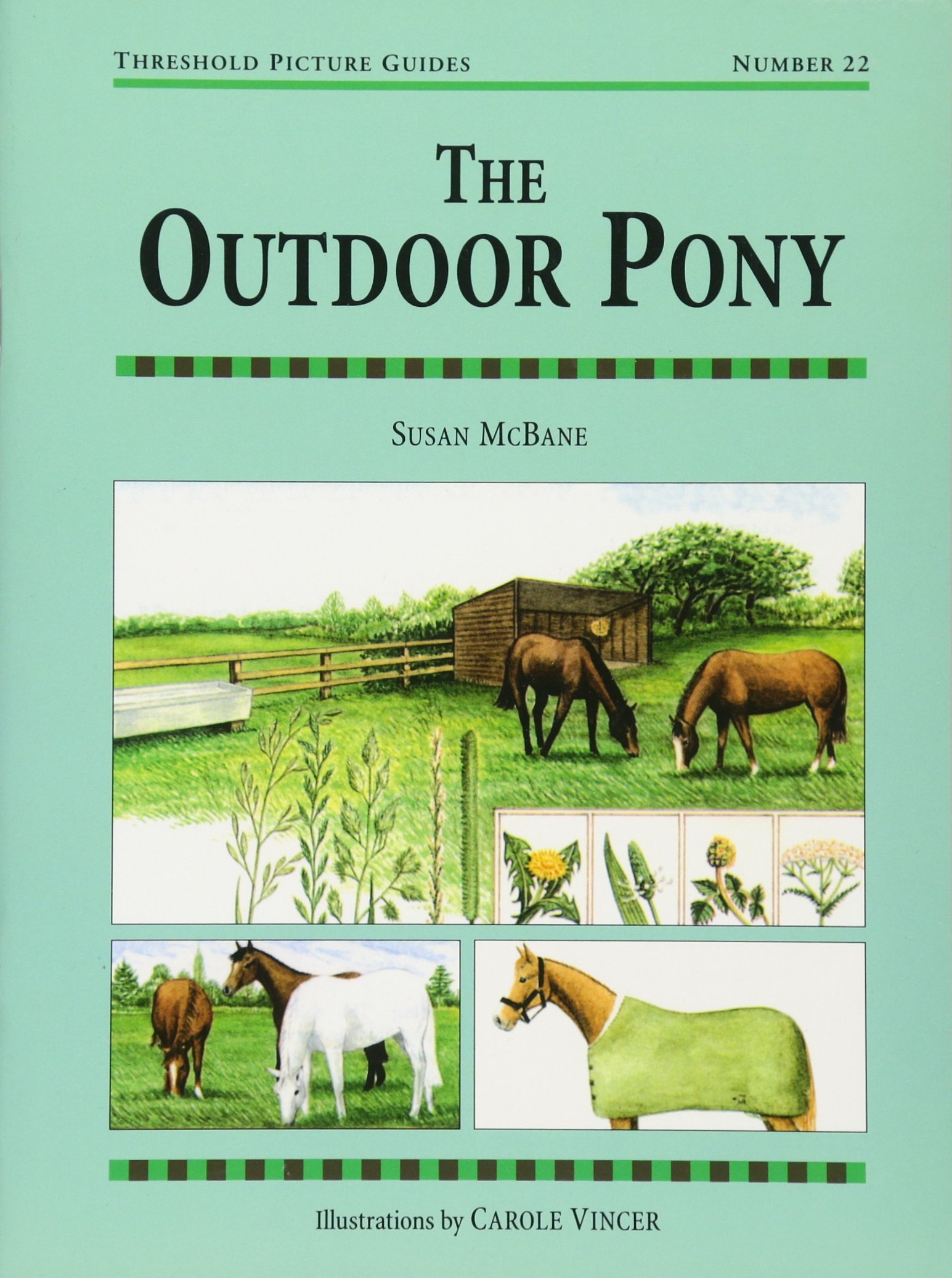 The Outdoor Pony (Threshold Picture Guides) - Perfect for Kids' Outdoor Adventures, Storytime & Nature Exploration