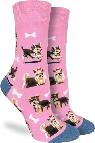 Yorkie