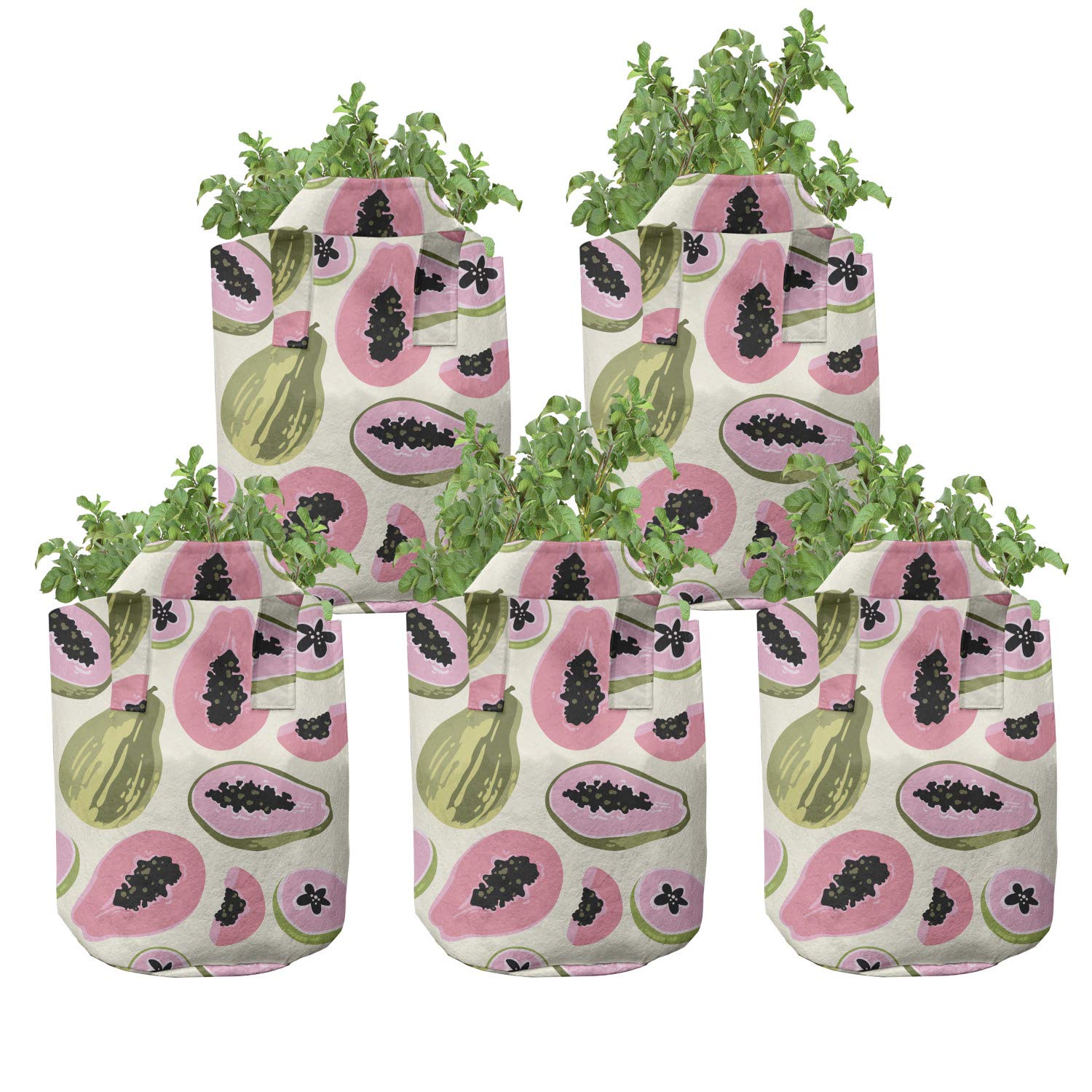 Ambesonne 5-Pack Heavy Duty Fabric Grow Bags with Handles - Tropical Papaya Fruit Design Plant Pots for Indoor/Outdoor Gardening, Vegetables, Herbs & Flowers