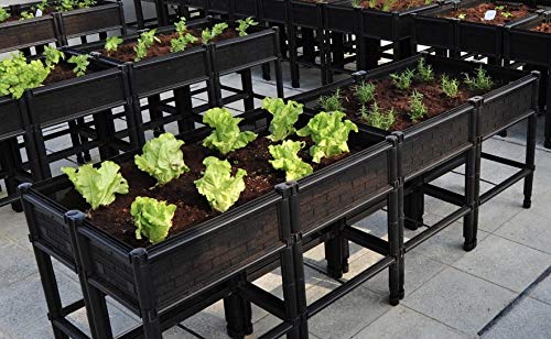 Elevated Raised Garden Bed with Legs - 7