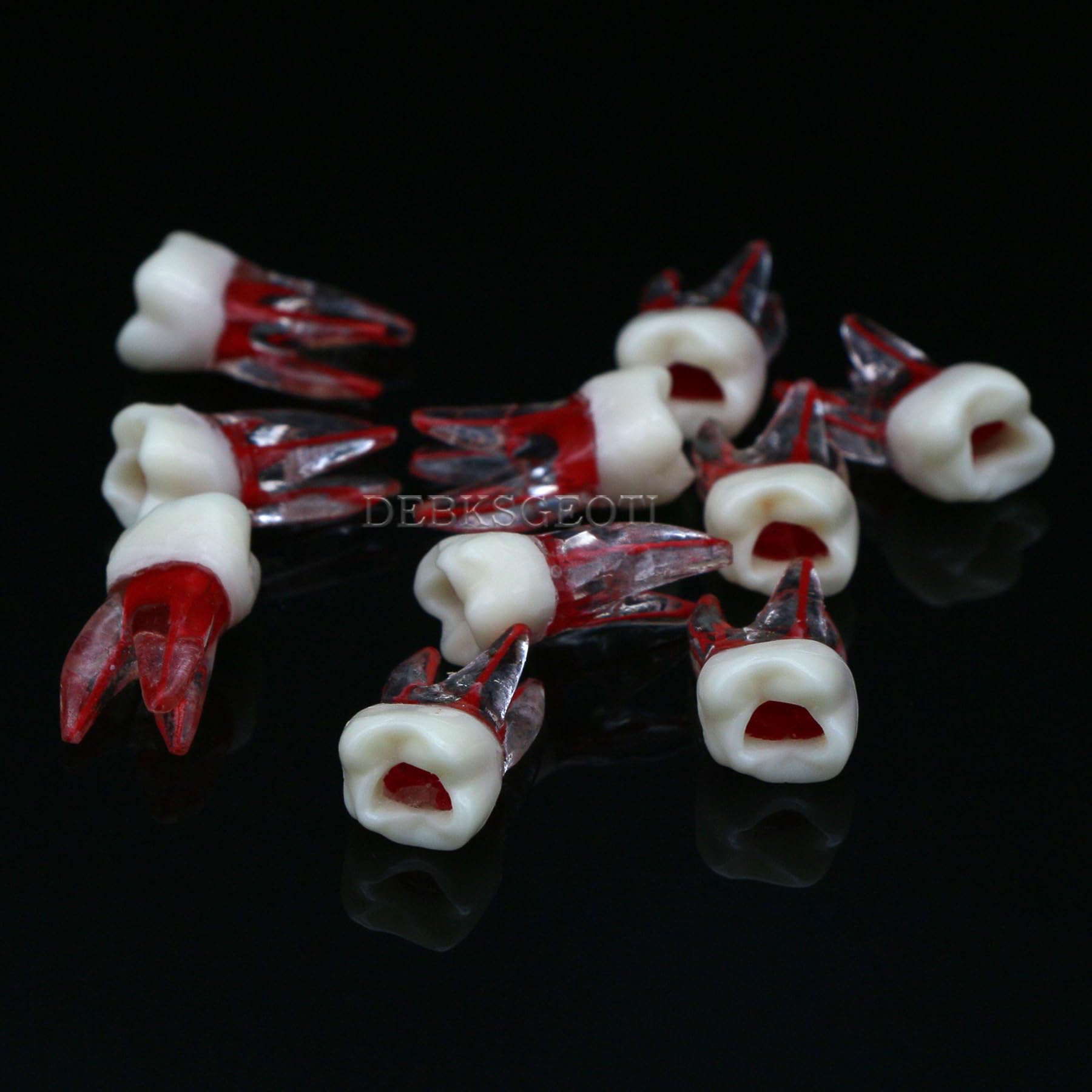 10Pcs Dental Root Canal Practice Teeth Model - 1:1 Typodont Standard M8008 for Endodontic Training, Study & Teaching | Perfect for Dental Students, Professionals & Classroom Demonstrations
