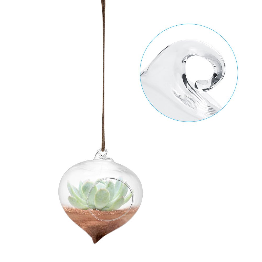Glass Hanging Planter - Teardrop-Shaped Air Plant Pot & Terrarium Vase for Succulents, Herbs, Flowers | Perfect for Office Decor, Home Garden, Indoor & Outdoor Hanging Plants