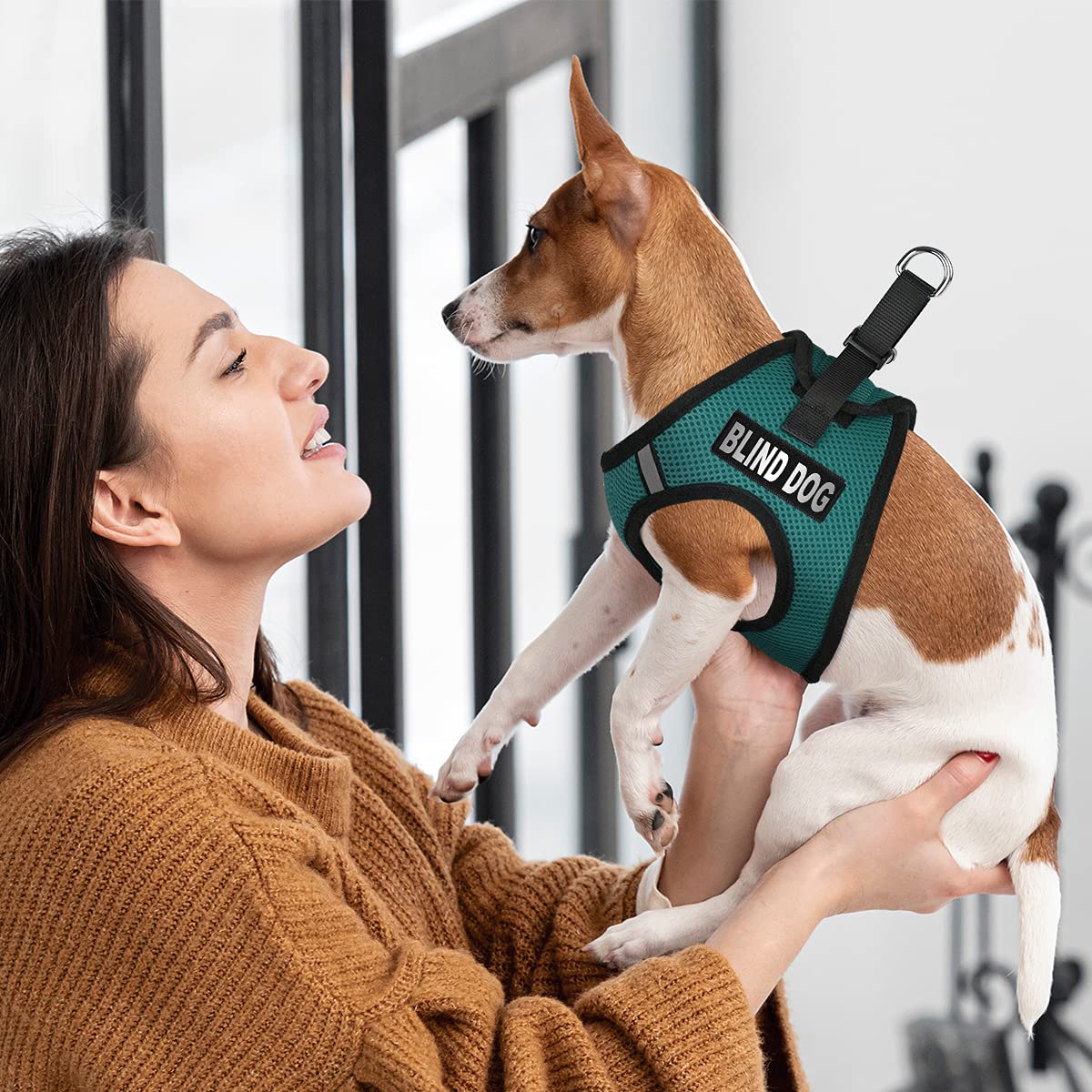 Dogline York Step-in Mesh Dog Harness with Blind Dog Patches - No-Choke Soft Padded Vest for Small, Medium & Large Dogs (22-24