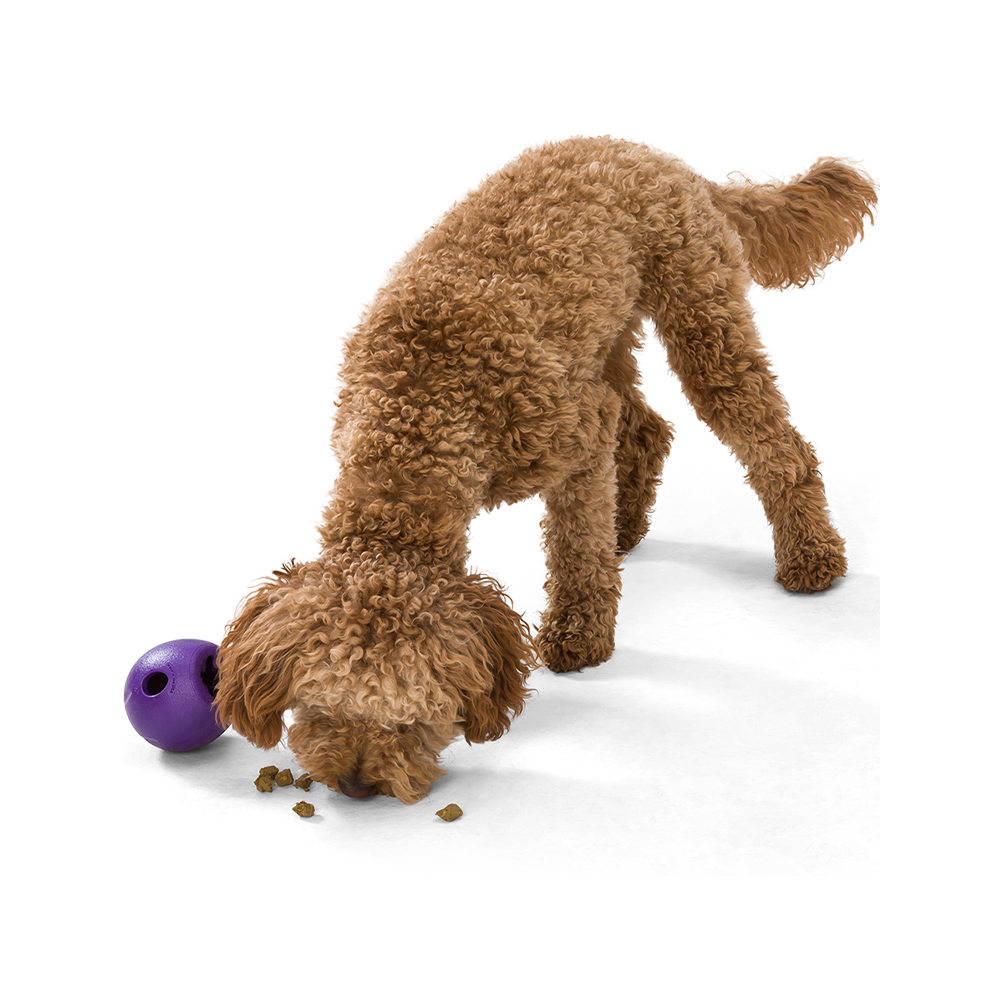 Durable Dog Chew Toy for Aggressive Chewers - Interactive Treat Dispenser for Large & Small Dogs - Perfect for Training, Boredom Relief & Dental Health