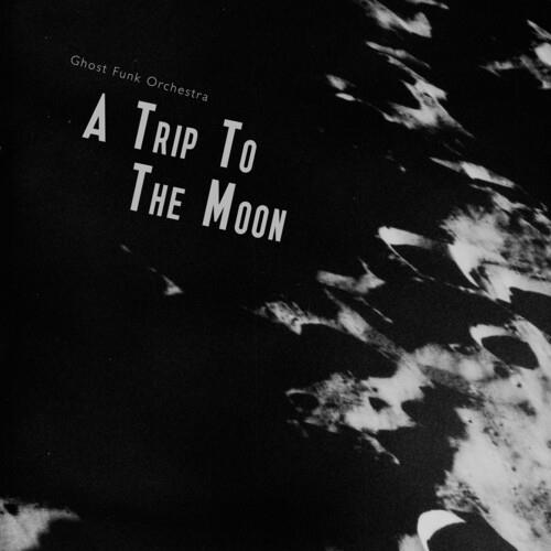 Seaglass with Black Swirl Vinyl LP - A Trip To The Moon Record - Limited Edition Colored Vinyl for Music Collectors & Home Decor