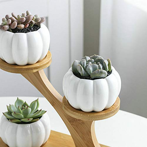 Pumpkin-Shaped Ceramic Succulent Planter with Bamboo Tray - Cute Home Decor for Fall & Halloween - Perfect for Tabletop, Windowsill, and Office Desk Decorations