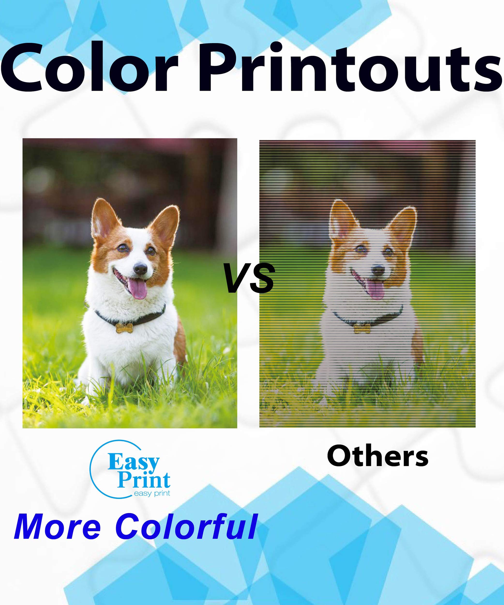 EASYPRINT PGI-2200XL Ink Cartridge for Canon Maxify - High Capacity 5-Pack | Home & Office Printing