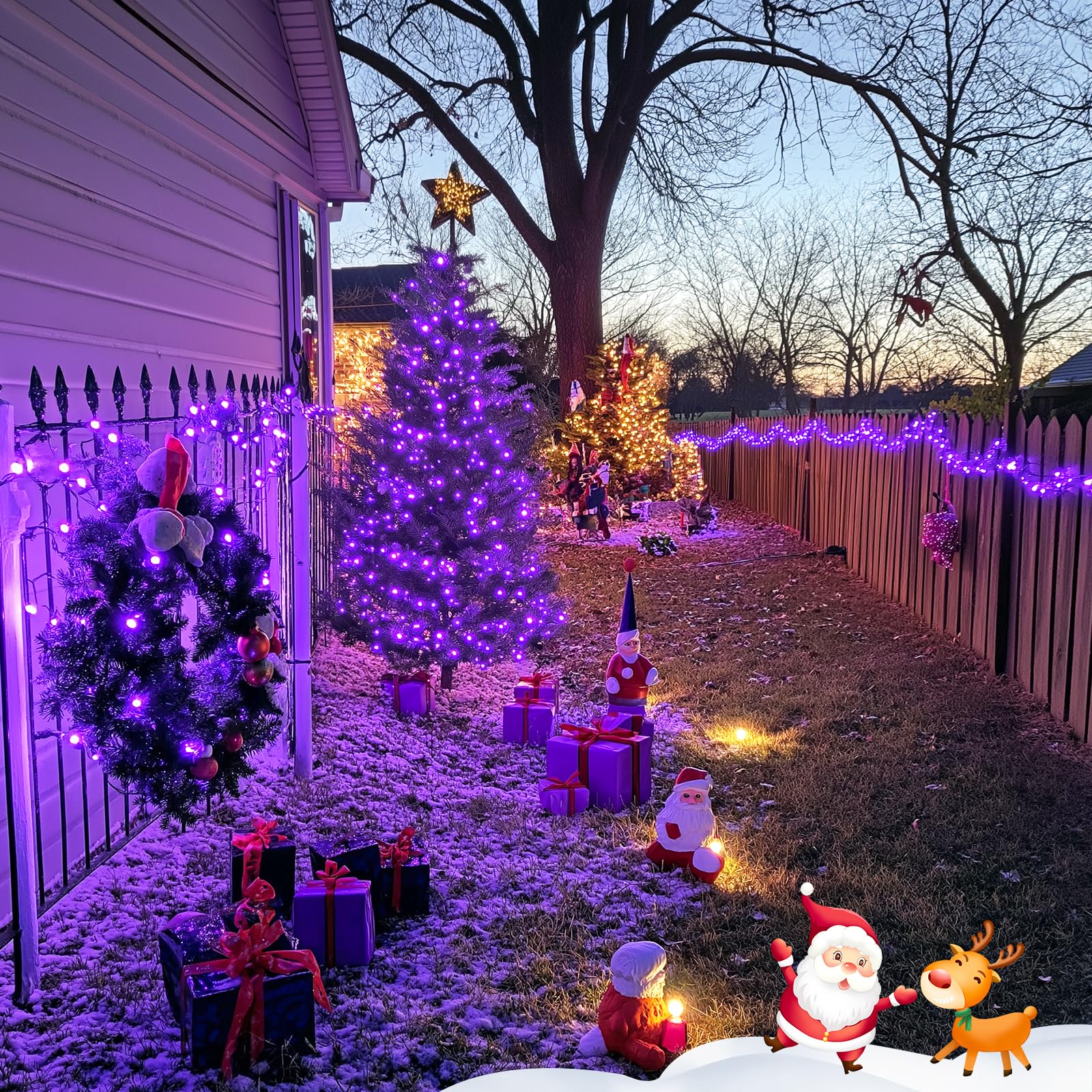 JMEXSUSS 500 LED Purple Christmas Lights - 173ft Waterproof Outdoor String Lights with 8 Lighting Modes | Green Wire Purple LED Lights for Christmas Tree, Indoor Party, House Decorations (Perfect for Holiday, Wedding, Garden & Patio Decor)