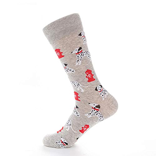Grey-bottomed Dalmatian