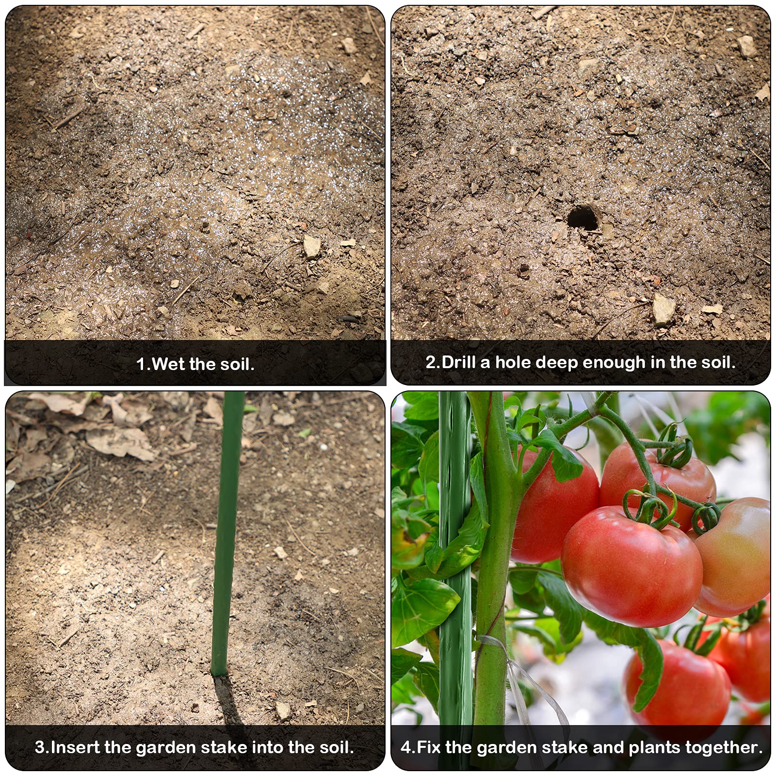 FEED GARDEN 30 Inch (2.5ft) Garden Stakes - 25 Pack Metal Plant Supports with Plastic Coating for Tomatoes, Beans & Trees | Heavy Duty Plant Stakes for Outdoor Gardening & Vegetable Support