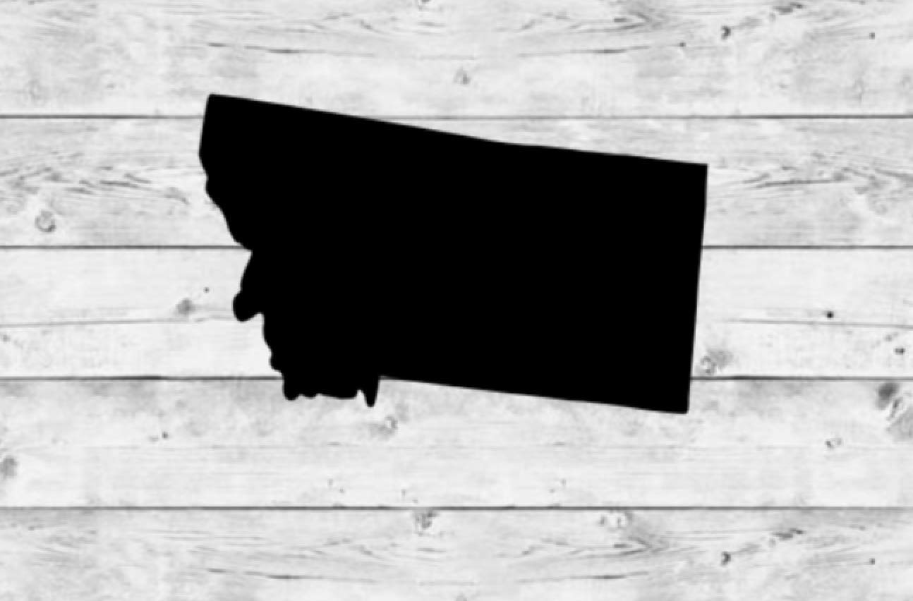 Montana State Vinyl Decal Sticker - Waterproof Car & Window Decals for Home, Office, Laptop Decor - Perfect for DIY Projects, Gifts & State Pride