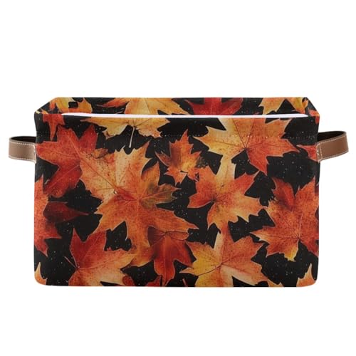 Maple Autumn Leaf