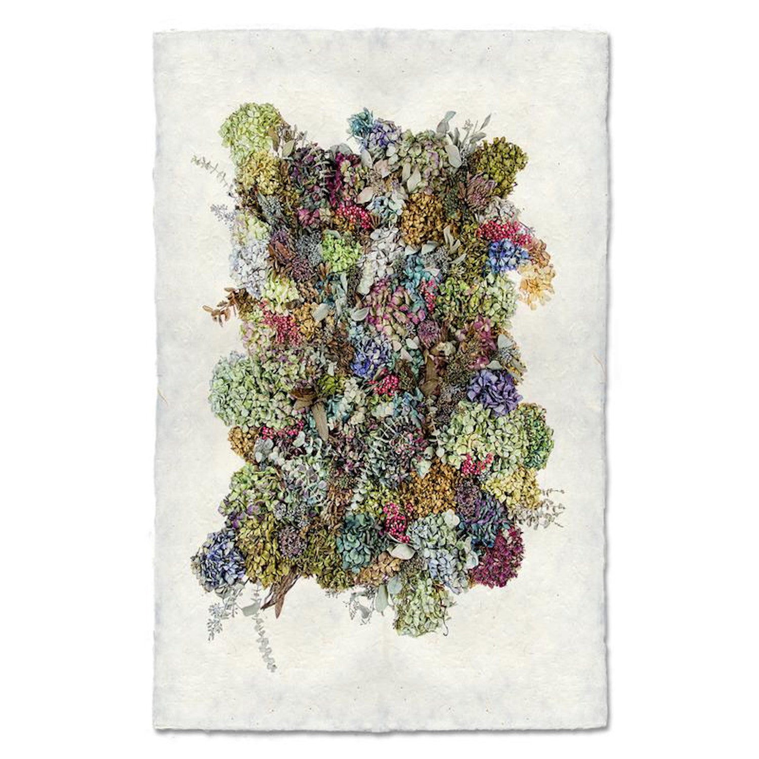 Collective Hydrangea Art Print - Floral Wall Decor for Living Room, Bedroom & Office - Perfect for Home Decor & Gift Giving