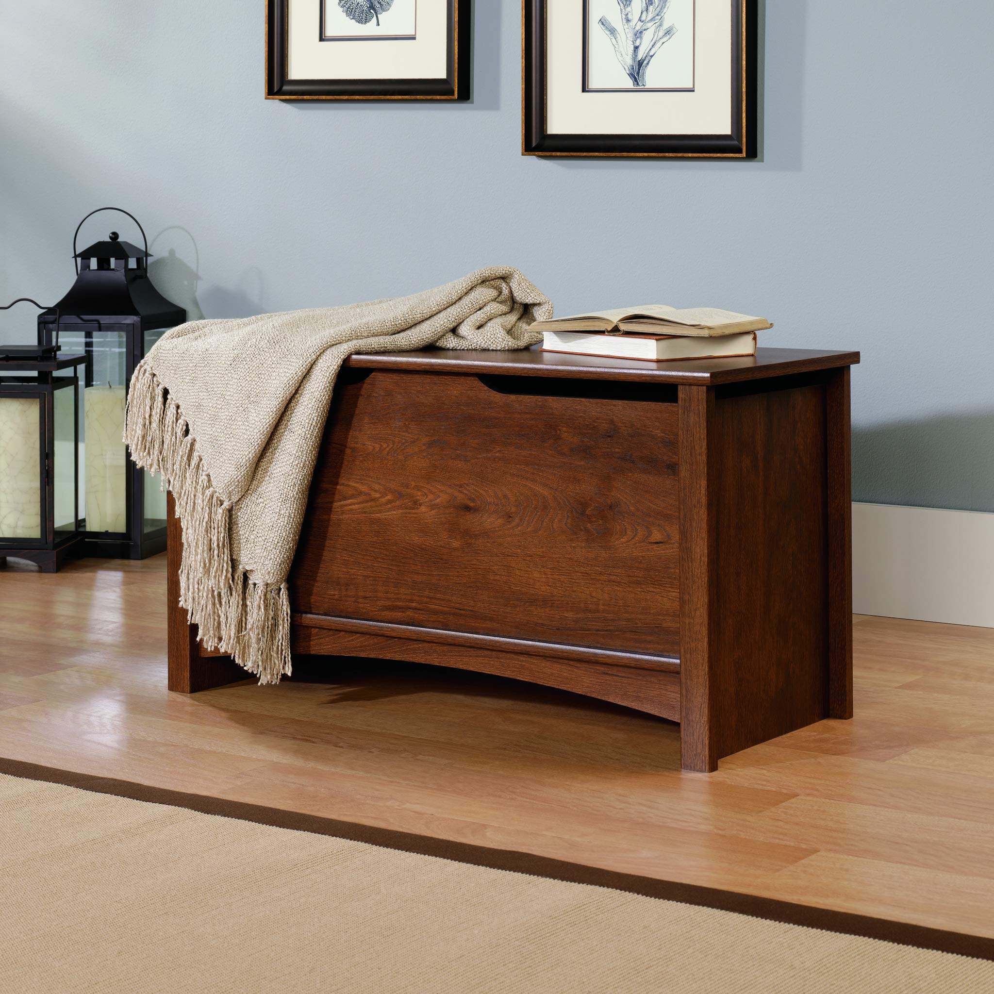 Sauder Shoal Creek Storage Chest - Toy Storage Organizer for Living Room, Bedroom & Nursery - Oiled Oak Wooden Trunk - Perfect for Kids' Toys, Blankets & Home Decor Storage