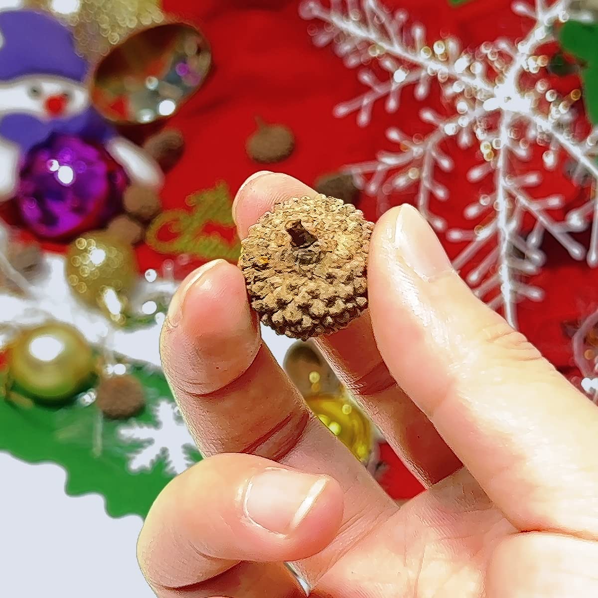 20Pcs Natural Dried Acorn Caps for DIY Crafts - Fall & Winter Holiday Decorations - Perfect for Christmas, Thanksgiving, Home Decor, Wreath Making & Seasonal Centerpieces