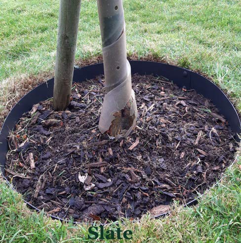 5-Piece 5-Foot Diameter Slate Powder-Coated Tree Rings for Landscaping, Garden Decor, and Outdoor Plant Displays