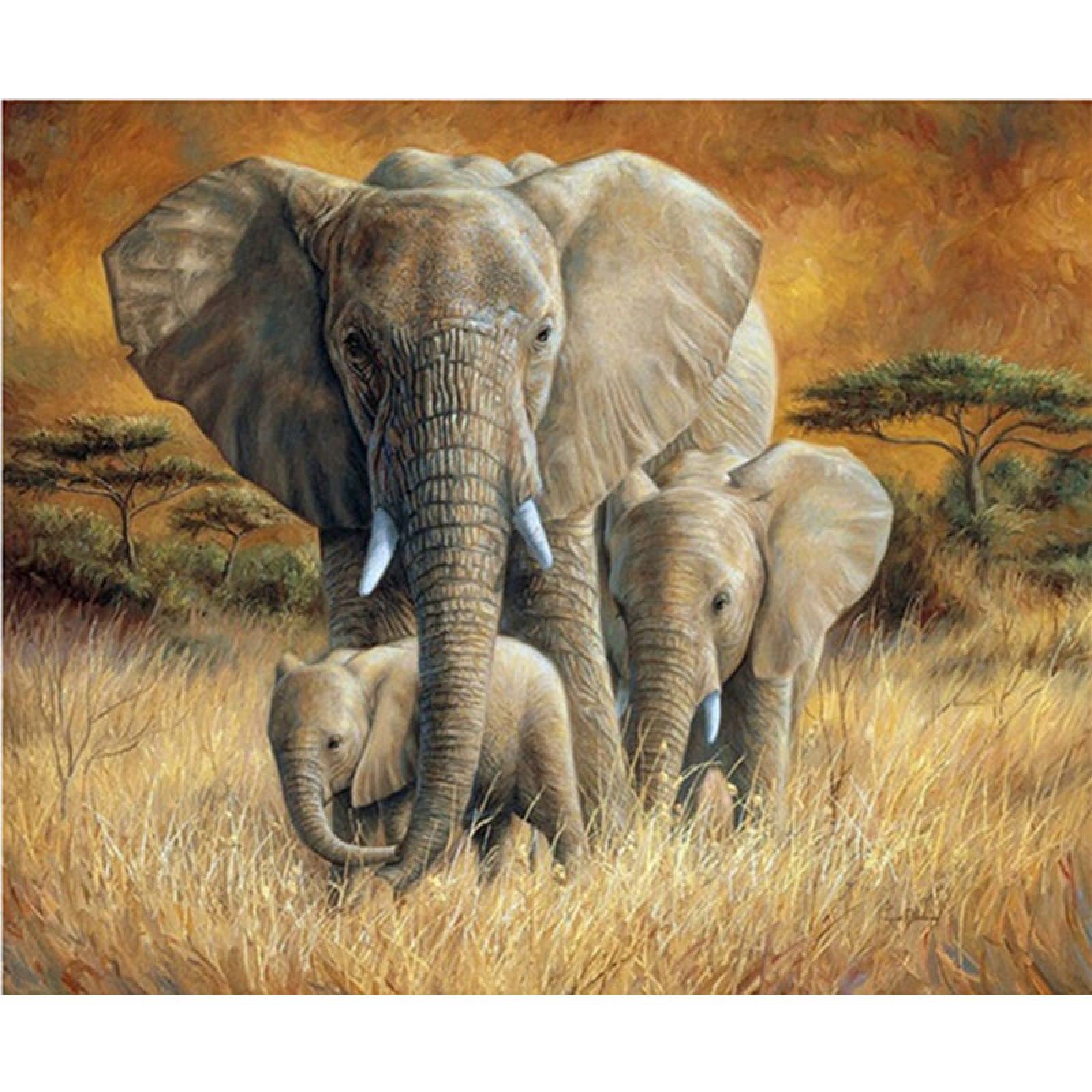 1000 Piece Jigsaw Puzzle for Adults & Kids - African Elephants Puzzle (75x50cm) | Intellectual Challenge, Stress Relief, Family Game Night Activity | Perfect Gift for Puzzle Lovers & Educational Toy