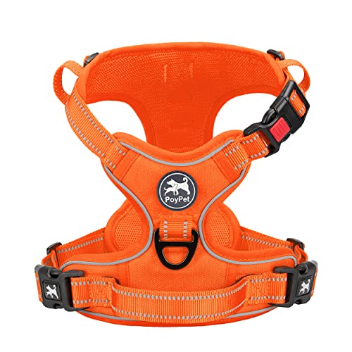 Orange(Matching Trim)