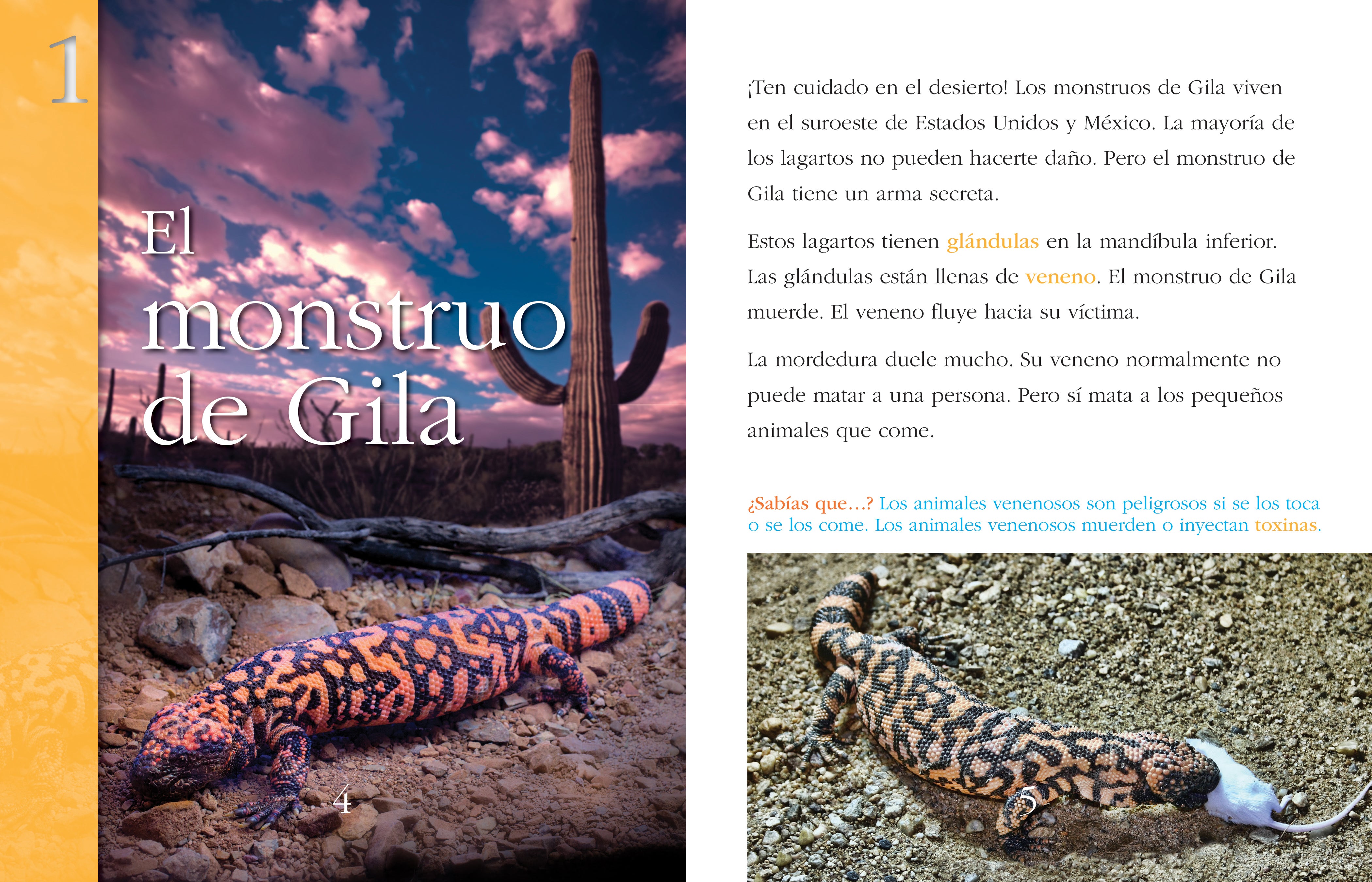 Deadly Animals Encyclopedia - Top 10 Most Dangerous Creatures in the World | Wildlife Education Book for Kids & Adults | Perfect for School Projects, Nature Studies & Animal Lovers