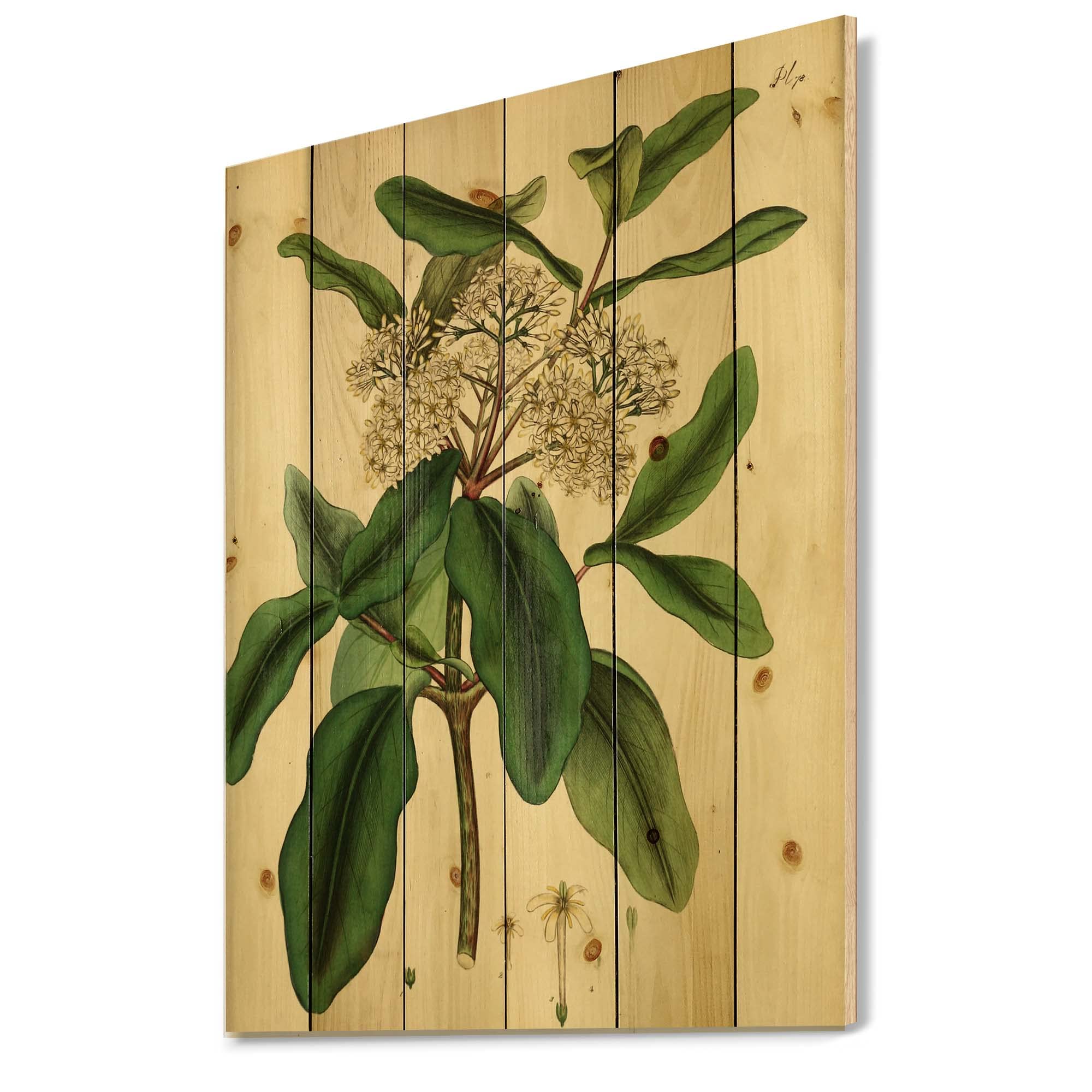 Vintage Botanical Wood Wall Art - Traditional Floral Pine Wood Decor, Large Green Wood Wall Panels for Living Room, Bedroom & Office Decor