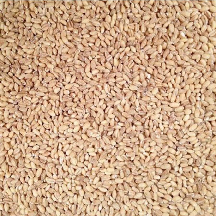 Organic Hulled Barley Non-GMO - 2lb Bulk Bag (Pack of 10) | Perfect for Soups, Stews, Baking & Healthy Meal Prep